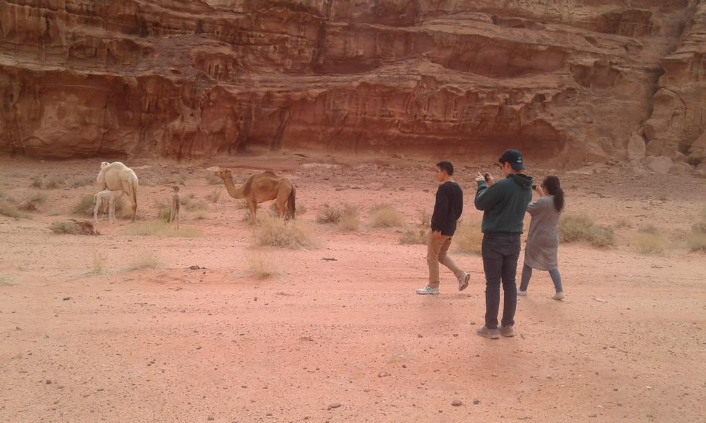 Wadi Rum Light Camp Exteriér fotografie