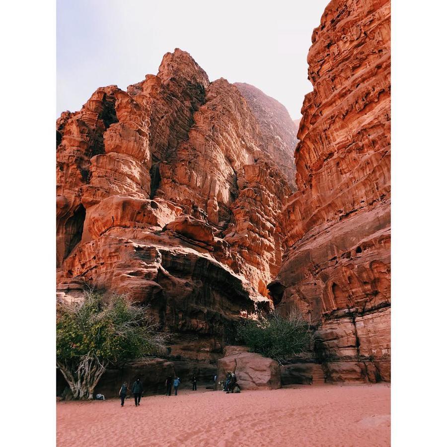 Wadi Rum Light Camp Exteriér fotografie